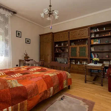 Viola Balatonmáriafürdő